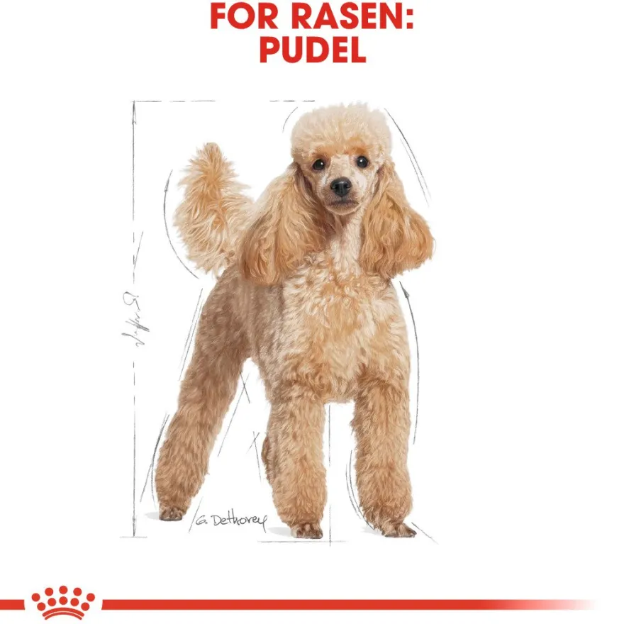 Poodle Adult tørrfôr for hunder 1,5 kg
