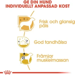 Poodle Adult tørrfôr for hunder 1,5 kg