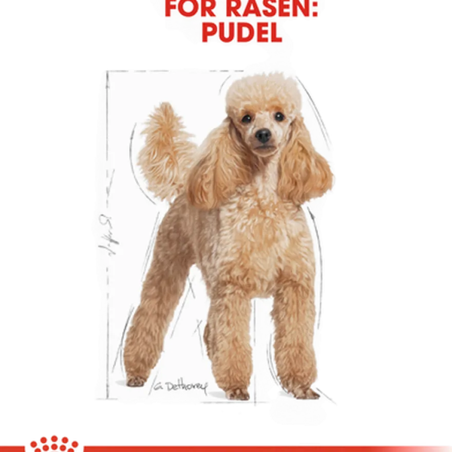 Poodle Adult tørrfôr for hunder 1,5 kg