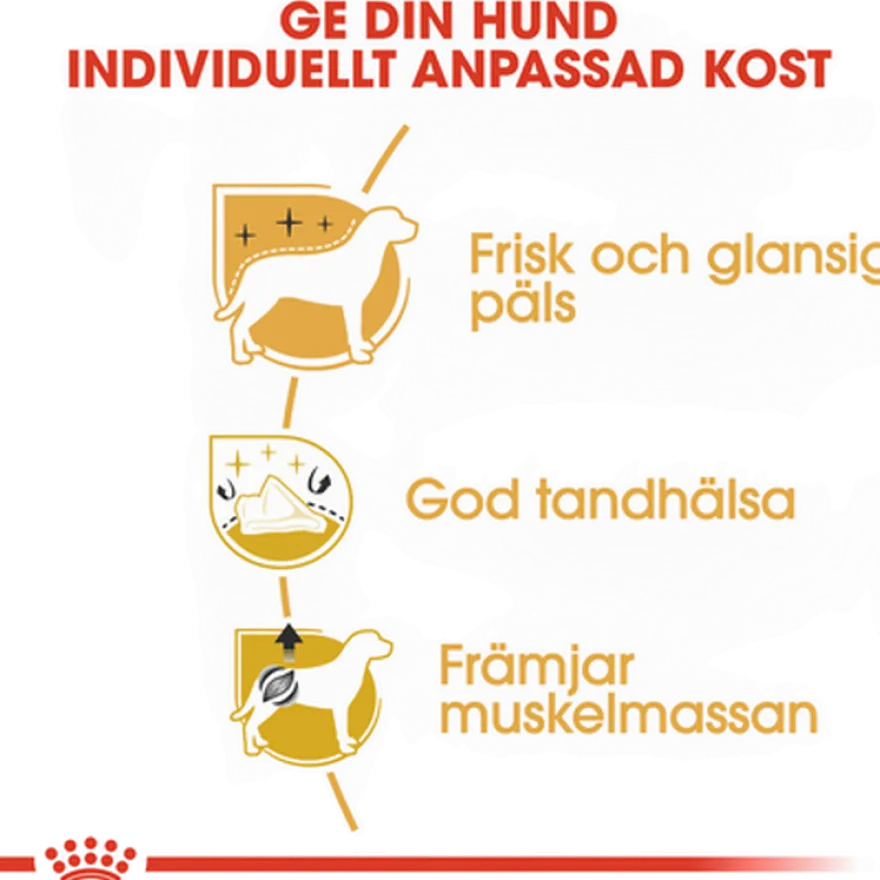 Poodle Adult tørrfôr for hunder 1,5 kg