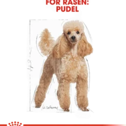 Poodle Adult tørrfôr for hunder 7,5 kg