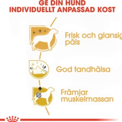 Poodle Adult tørrfôr for hunder 7,5 kg
