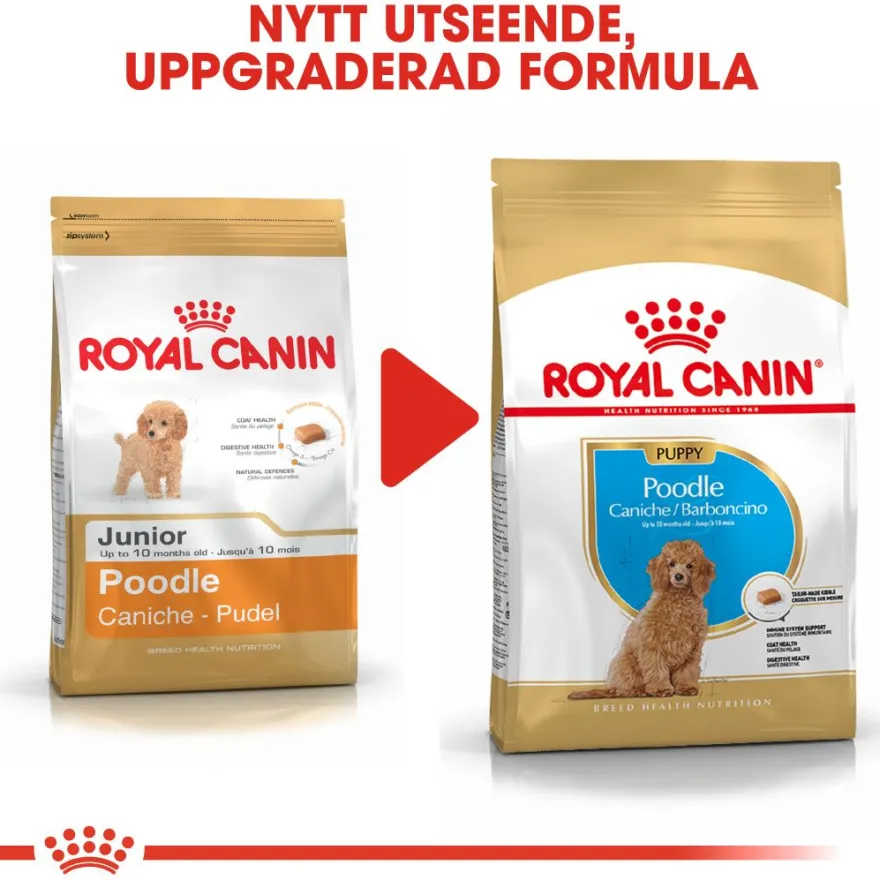 Poodle Puppy tørrfôr for valper 3 kg
