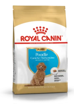 Poodle Puppy tørrfôr for valper 3 kg