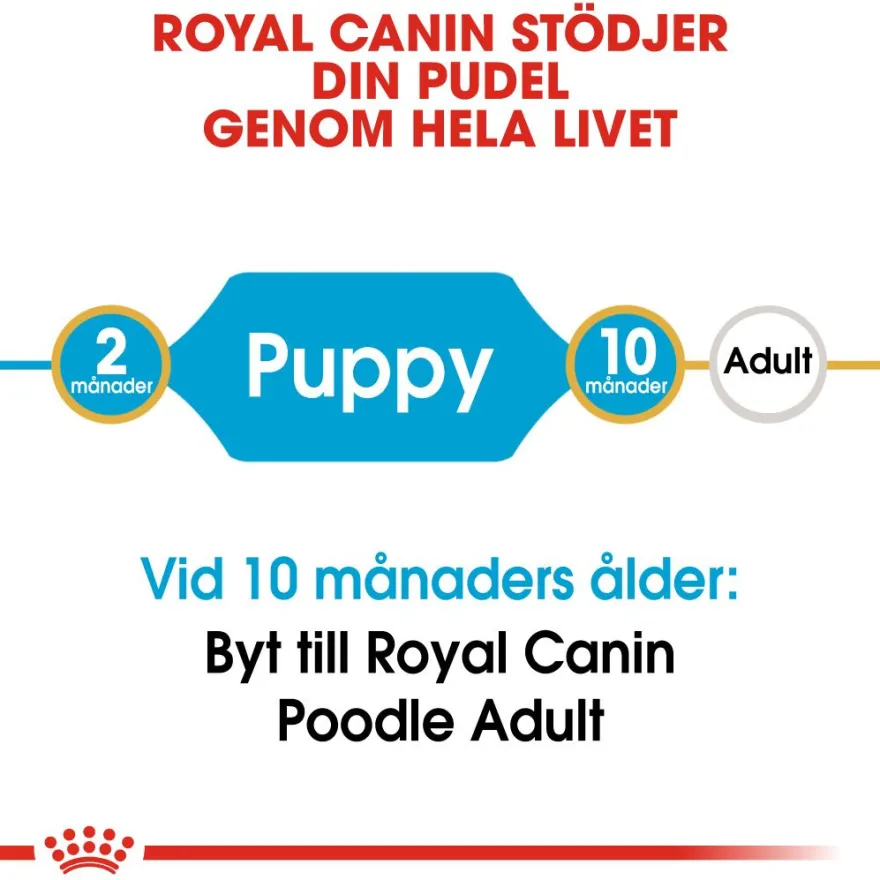 Poodle Puppy tørrfôr for valper 3 kg