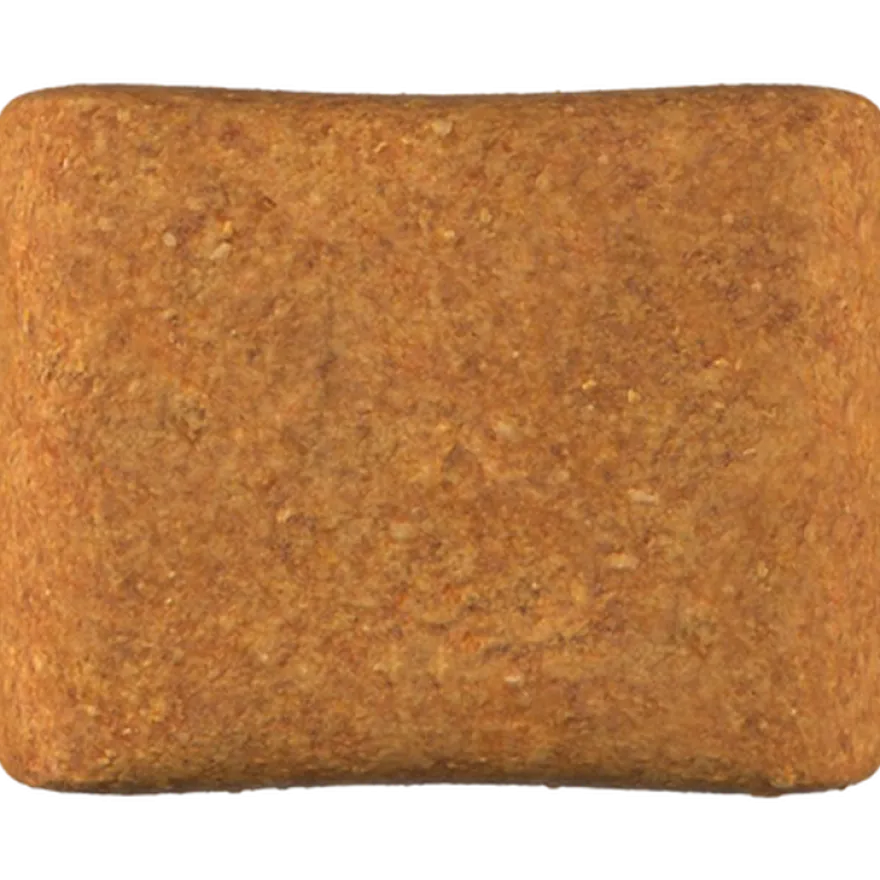 Poodle Puppy tørrfôr for valper 3 kg