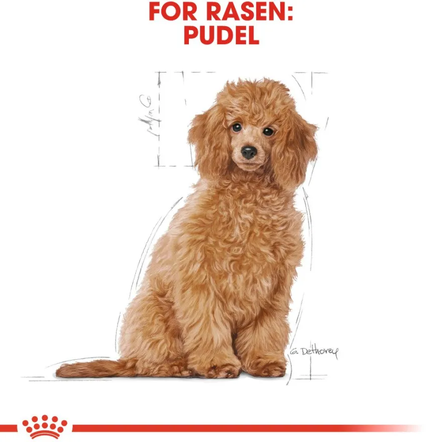 Poodle Puppy tørrfôr for valper 3 kg