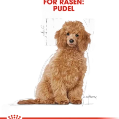 Poodle Puppy tørrfôr for valper 3 kg