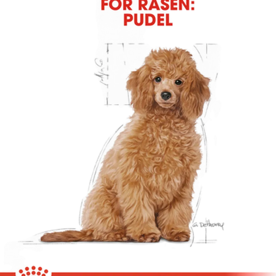 Poodle Puppy tørrfôr for valper 3 kg