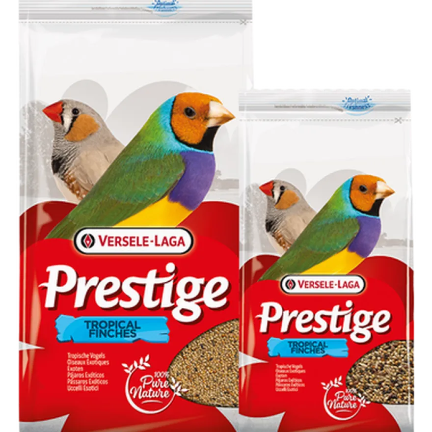 Prestisje tropisk finke (finke) 4 kg