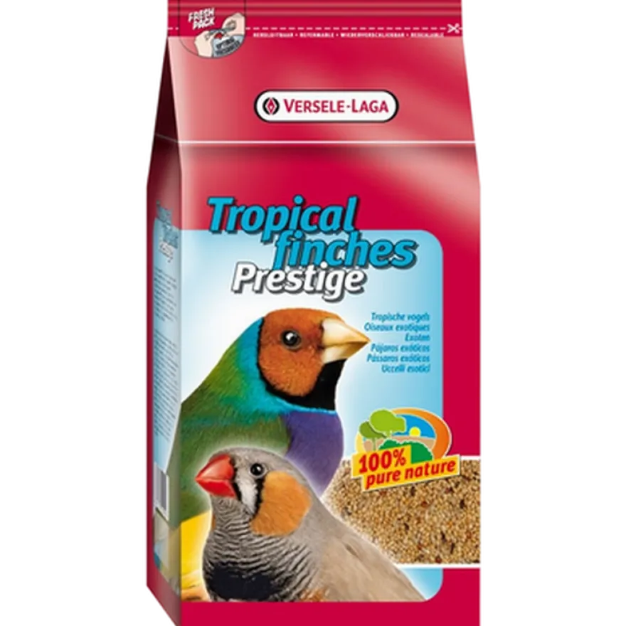 Prestisje tropisk finke (finke) 4 kg