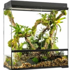 Pro Paludarium Large X-Tall - 90 x 45 x 90 cm
