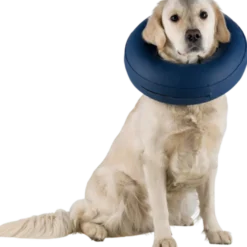 Protective collar Inflatable Blue X-Small