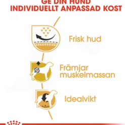 Pug Adult tørrfôr for hunder 1,5 kg
