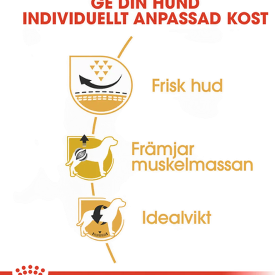 Pug Adult tørrfôr for hunder 7,5 kg