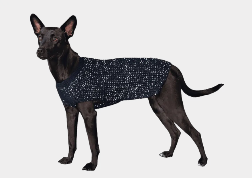 Pullover Finja - Refleks Hundegenser Brun 50 cm