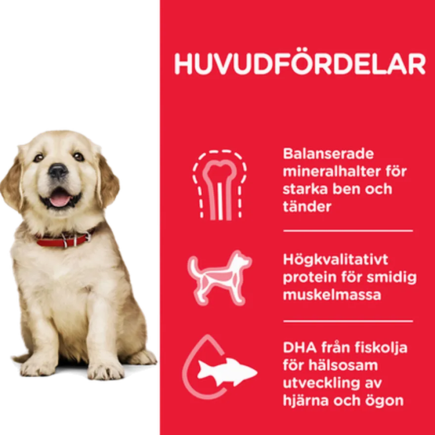 Puppy Large Breed Chicken 14,5 kg