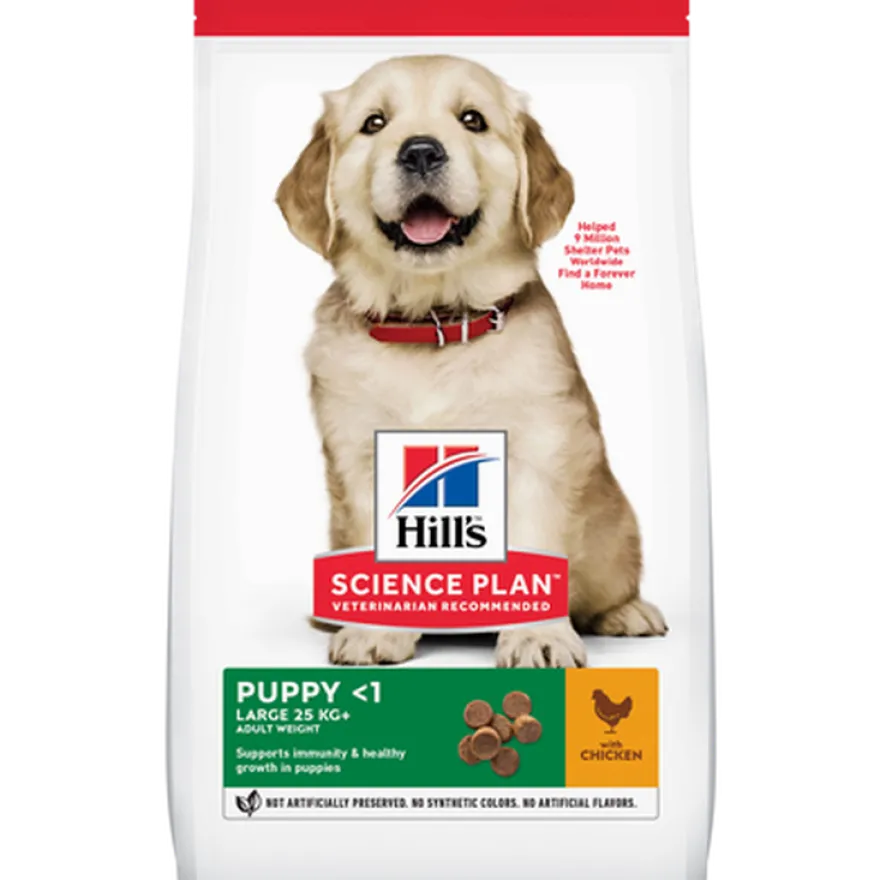 Puppy Large Breed Chicken 14,5 kg