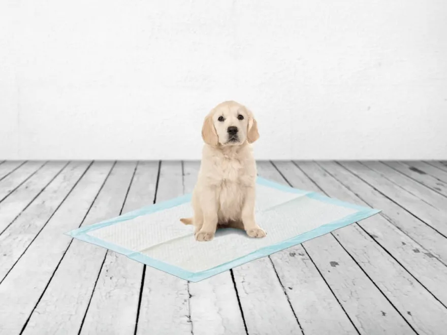 Puppy Trainer Pads Large 30 pads