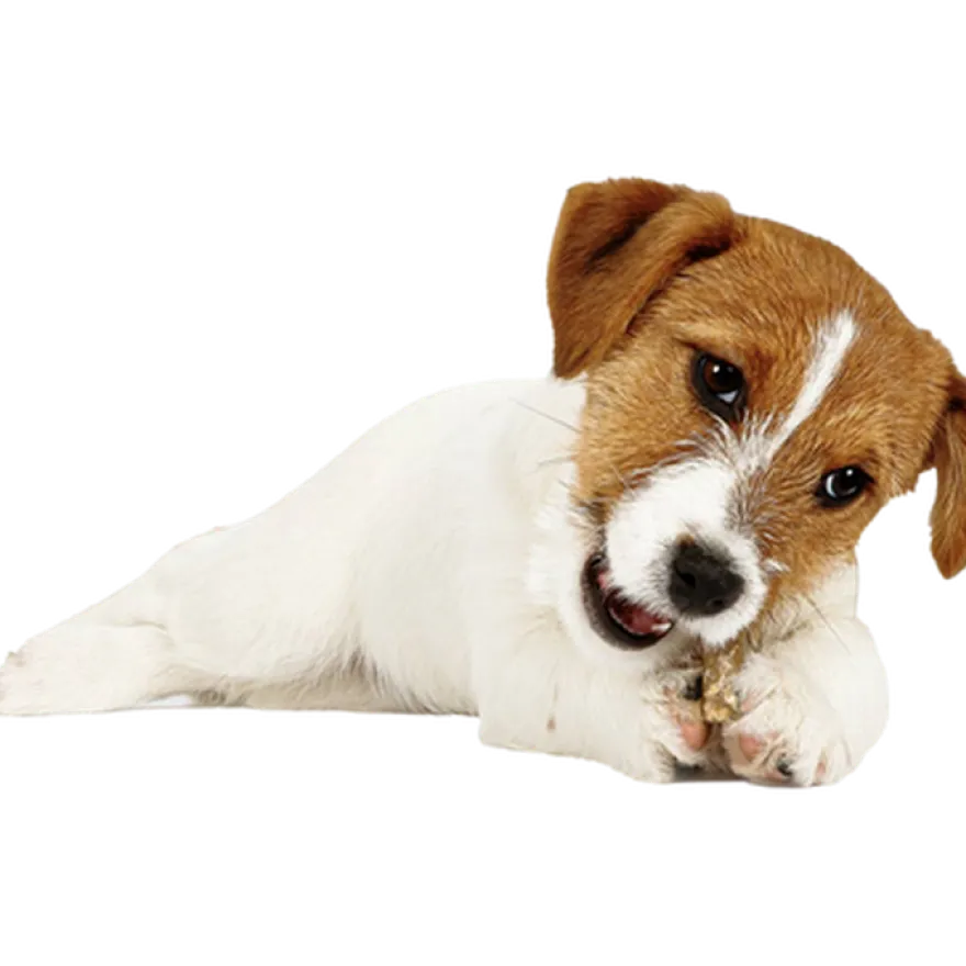 Puppy Value Bag Mix 14 stk M/L