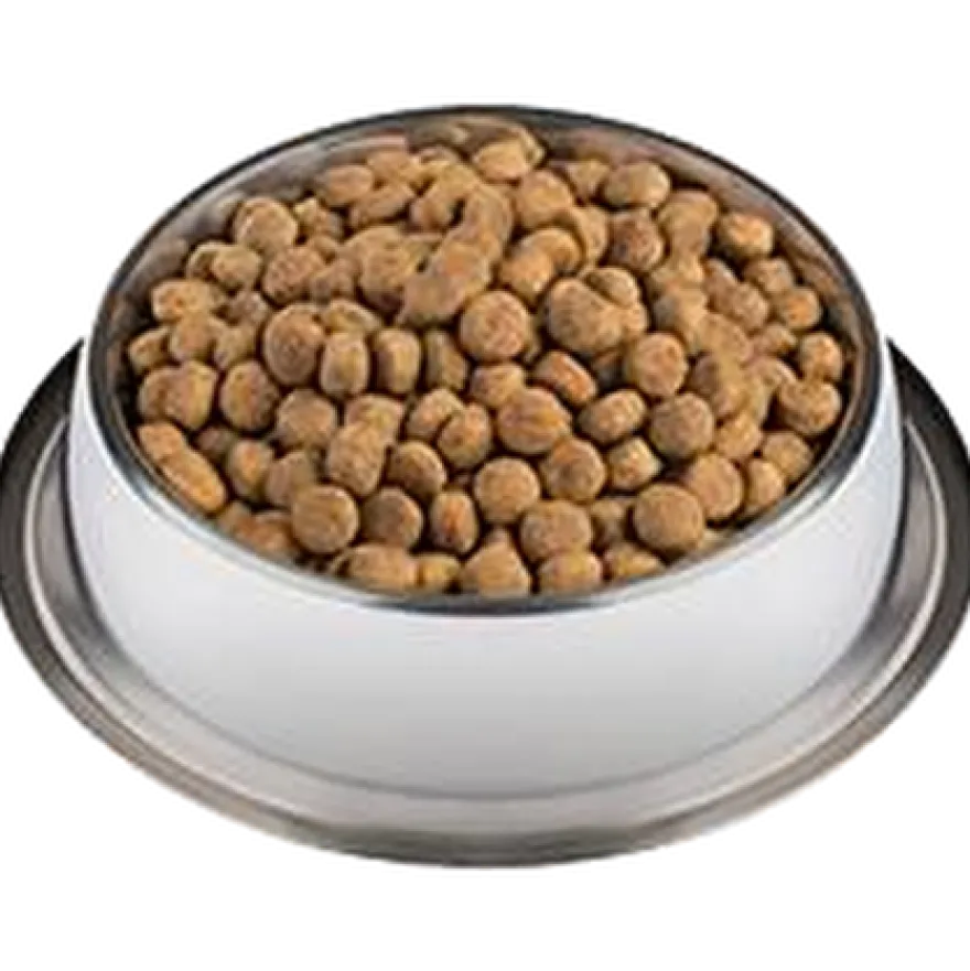 PVD DRM Dermatose hos hund 12 kg