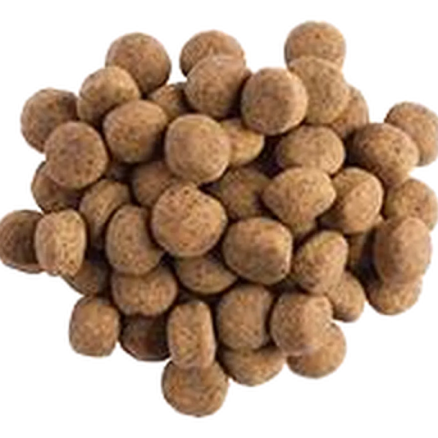 PVD DRM Dermatose hos hund 12 kg