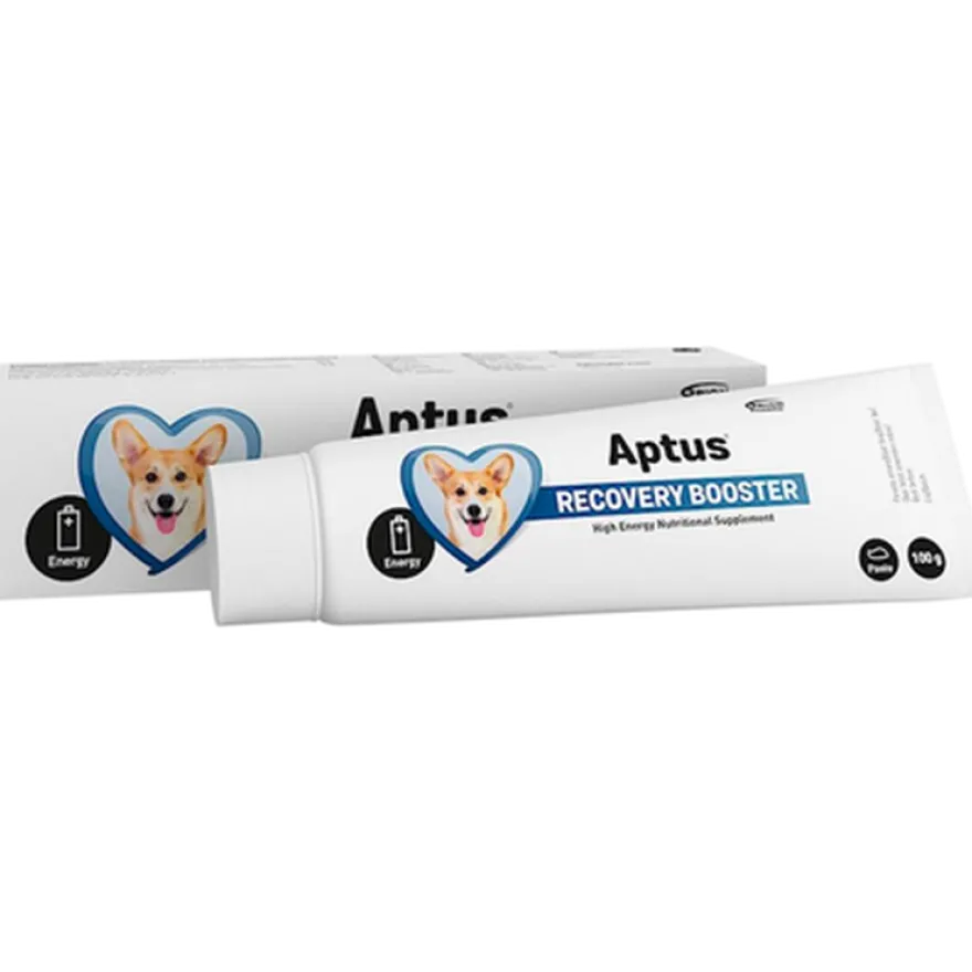Recovery Boost Dog Pasta 100 g