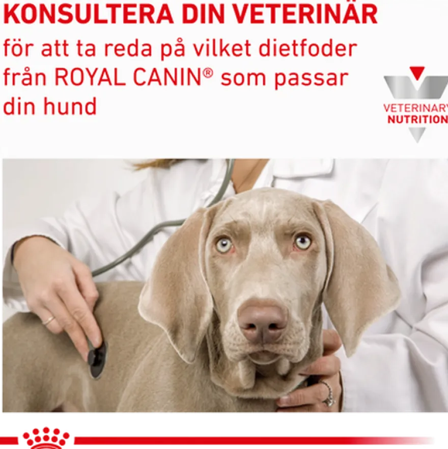 Renal Våtfôr for hunder 410 g