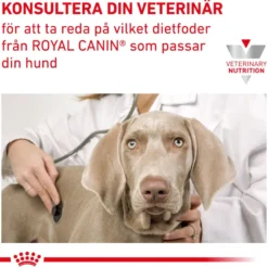 Renal Våtfôr for hunder 410 g