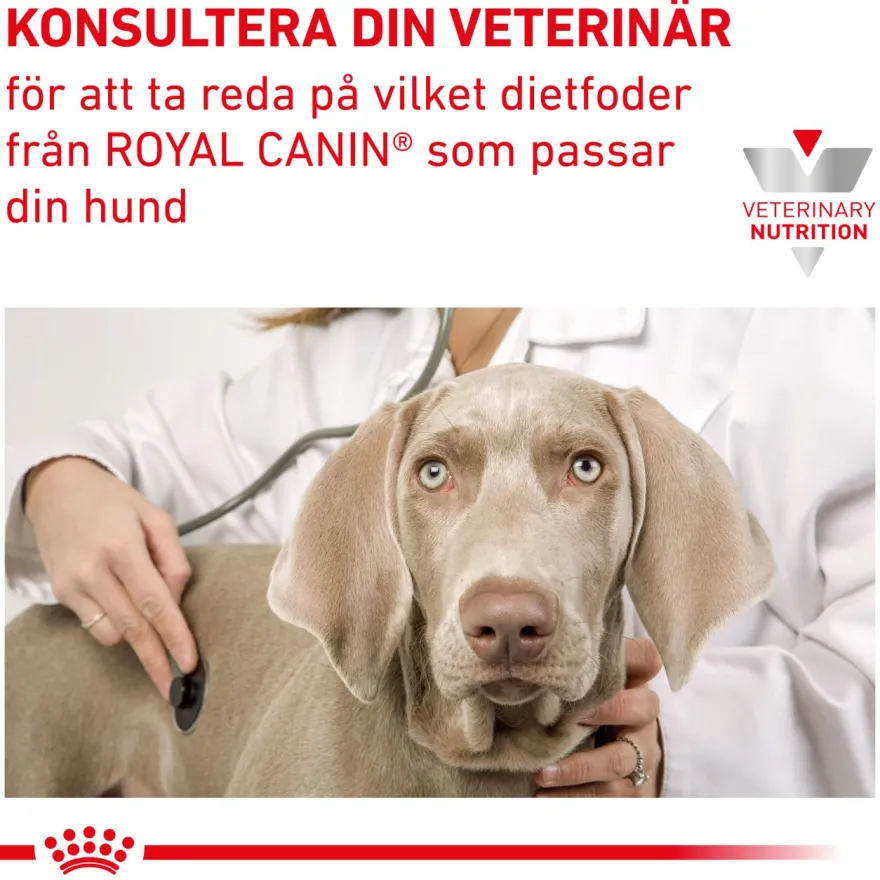 Renal Våtfôr for hunder 410 g