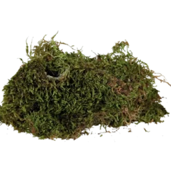 Reptiland terrariummose brun 200 g