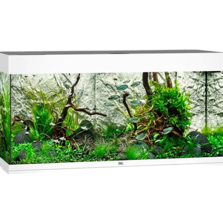 Rio 125 LED hvitt akvarium
