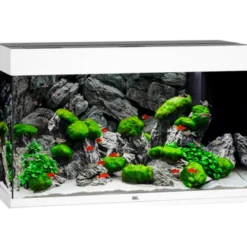 Rio 125 LED hvitt akvarium