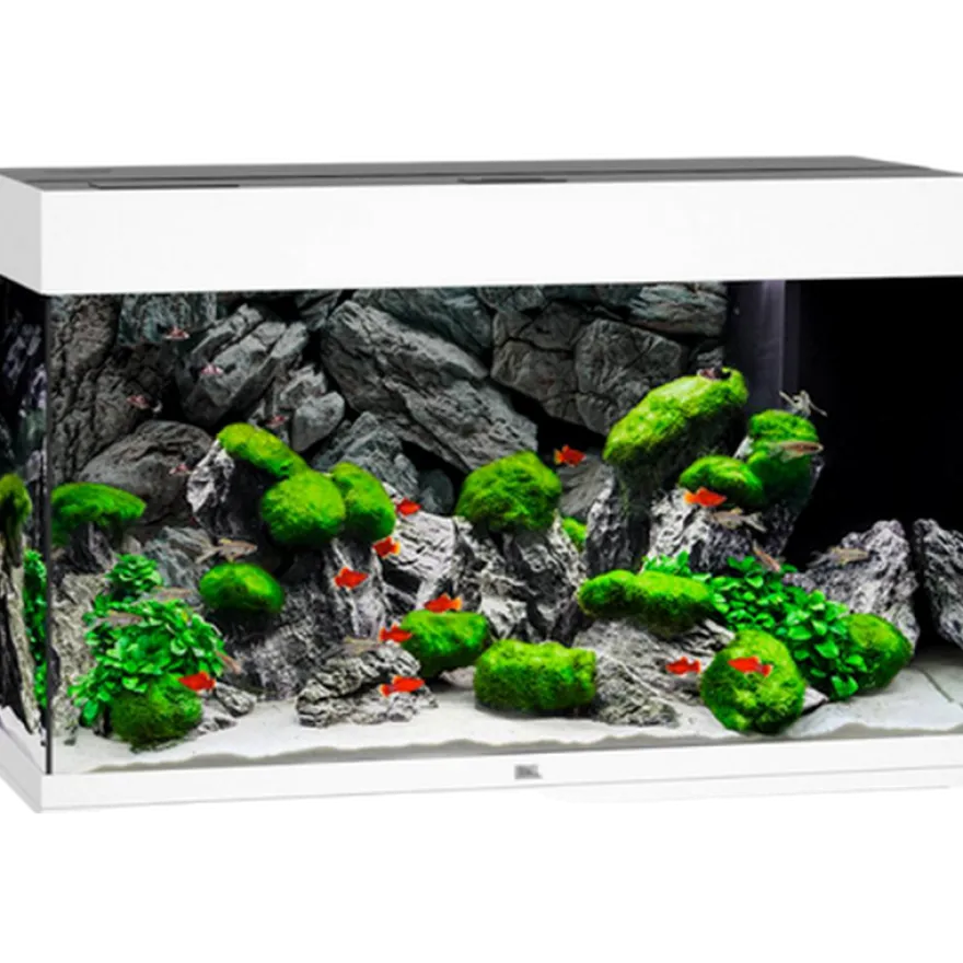 Rio 125 LED hvitt akvarium