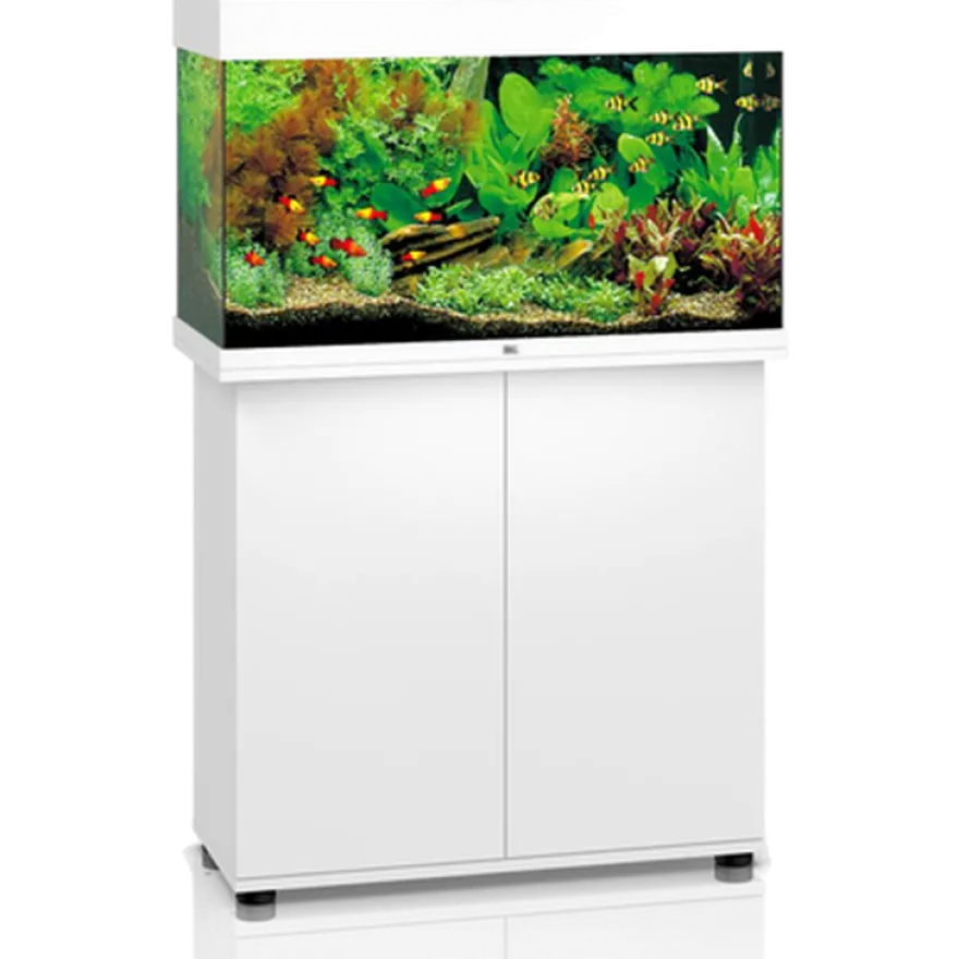 Rio 125 LED hvitt akvarium