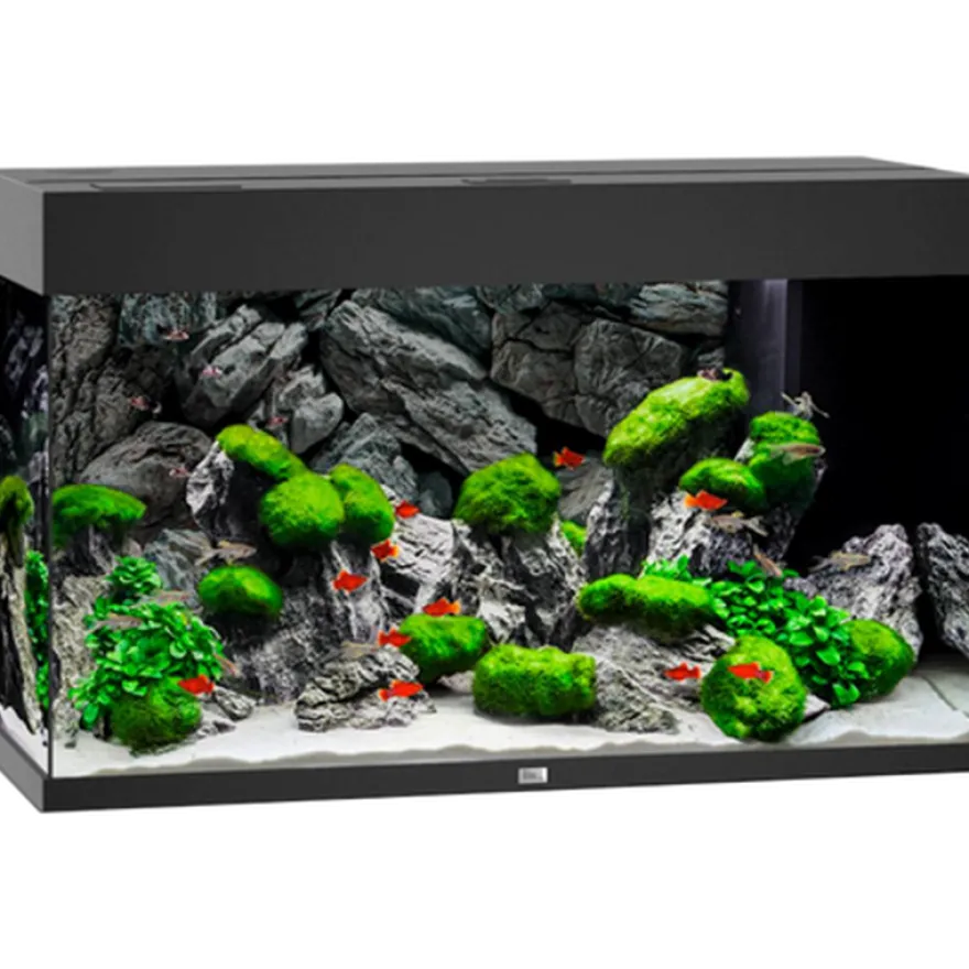 Rio 125 LED svart akvarium