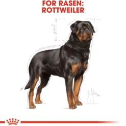 Rottweiler Adult tørrfôr for hunder 12 kg