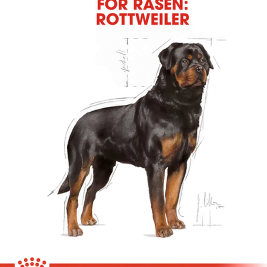 Rottweiler Adult tørrfôr for hunder 12 kg