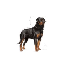 Rottweiler Adult tørrfôr for hunder 12 kg