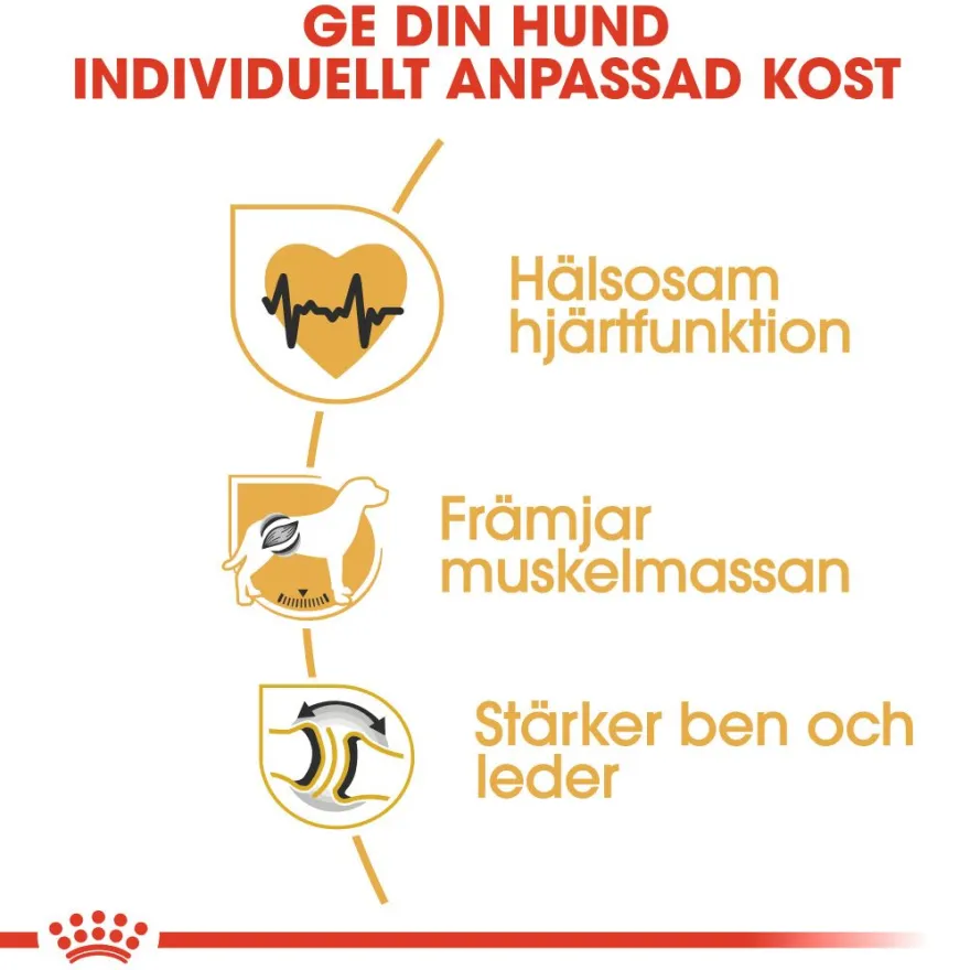Rottweiler Adult tørrfôr for hunder 12 kg