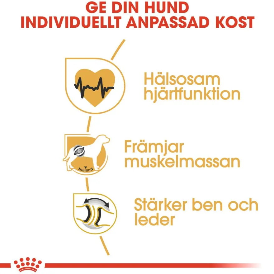 Rottweiler Adult tørrfôr for hunder 12 kg