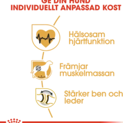 Rottweiler Adult tørrfôr for hunder 12 kg