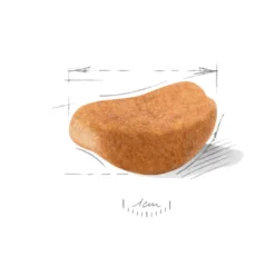 Rottweiler valp tørrfôr for valp 12 kg