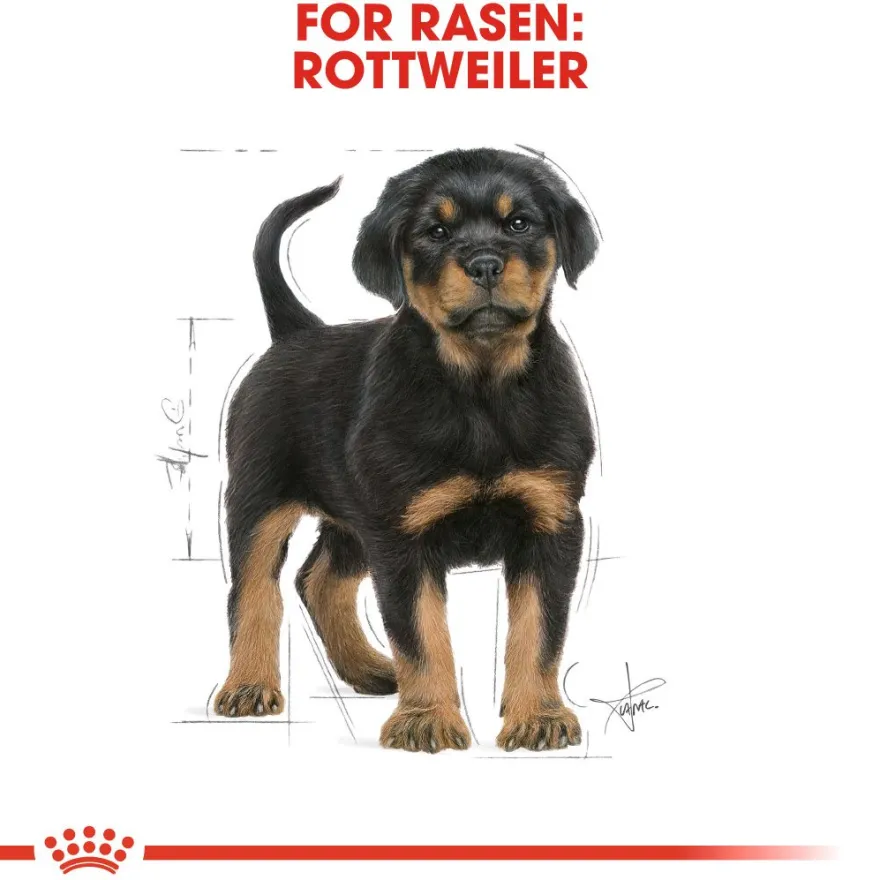 Rottweiler valp tørrfôr for valp 12 kg