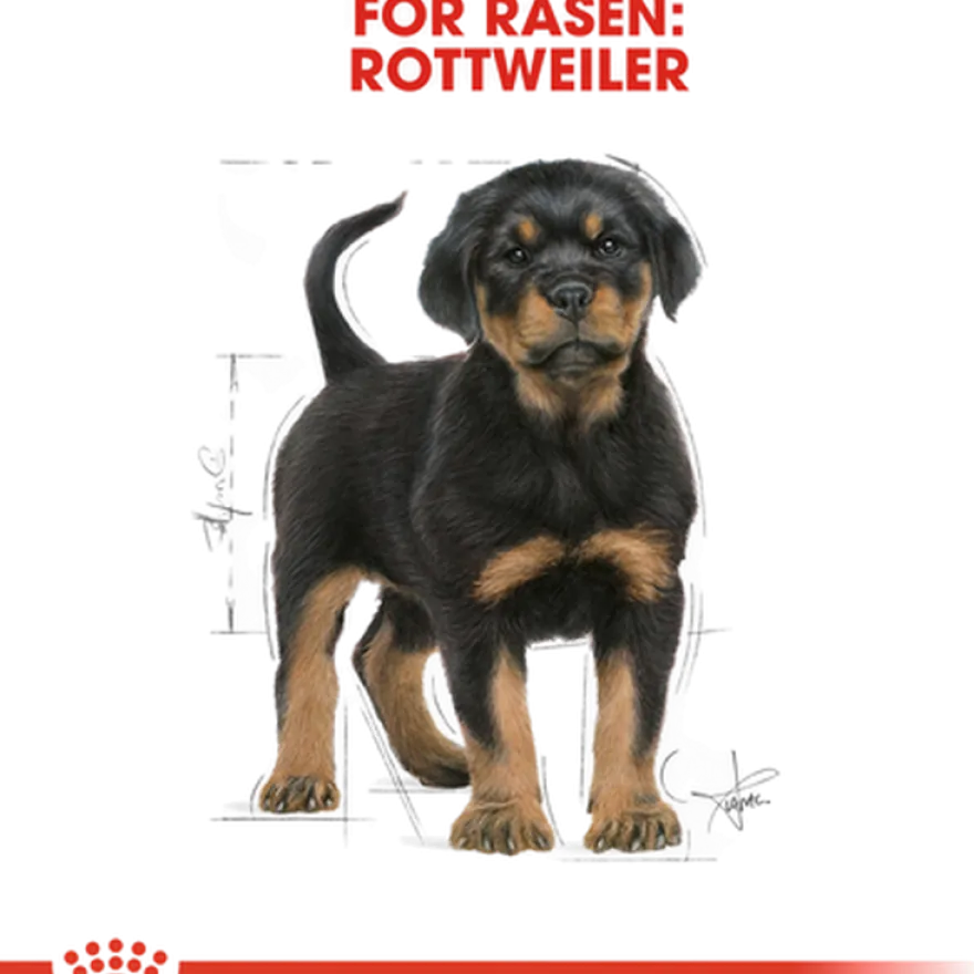 Rottweiler valp tørrfôr for valp 12 kg