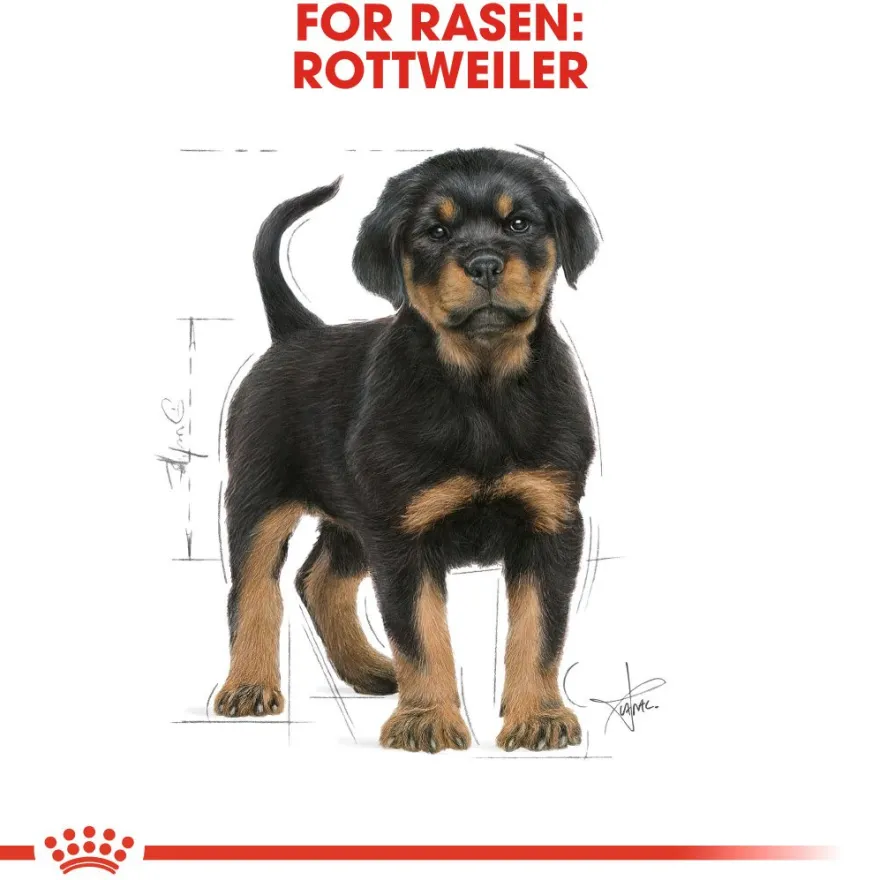Rottweiler valp tørrfôr for valp 12 kg