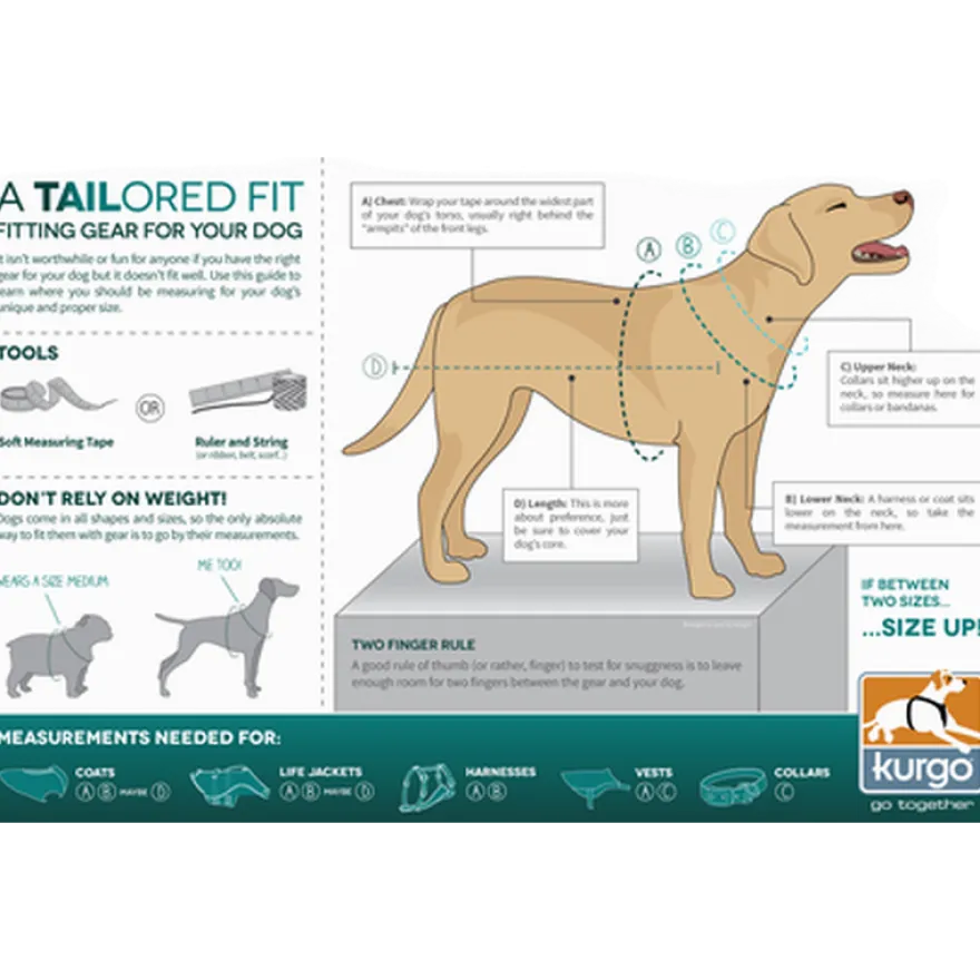 RSG Dog Townie Harness