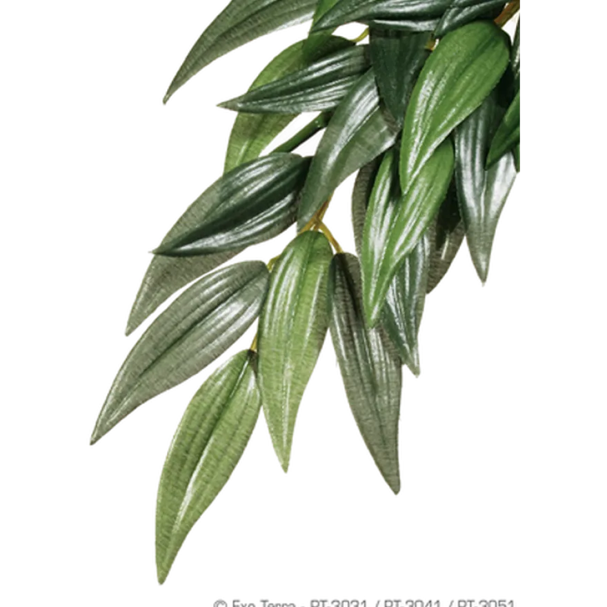 Rucus (Silk) - Hanging Rainforest/Jungle Plants