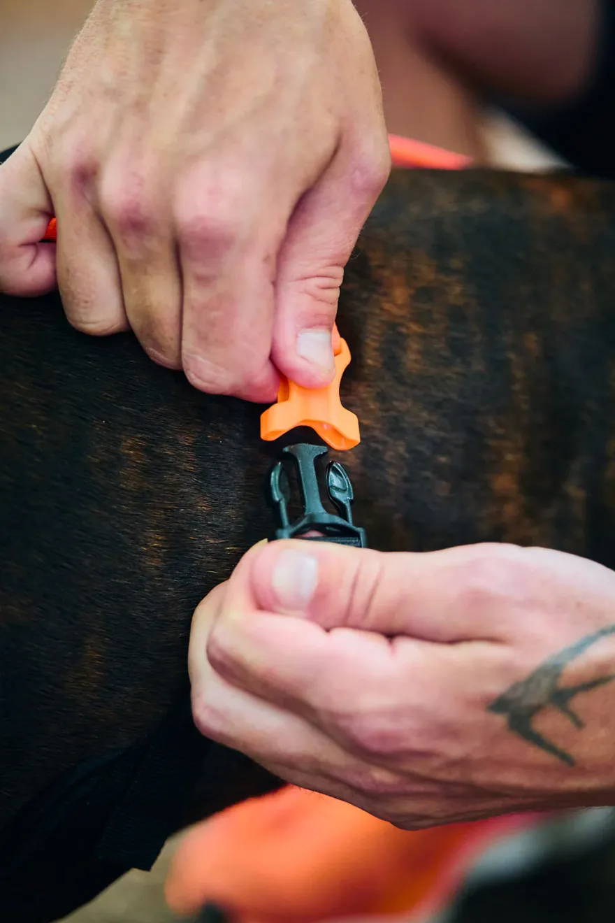 Rush harness Nr 7 black/orange