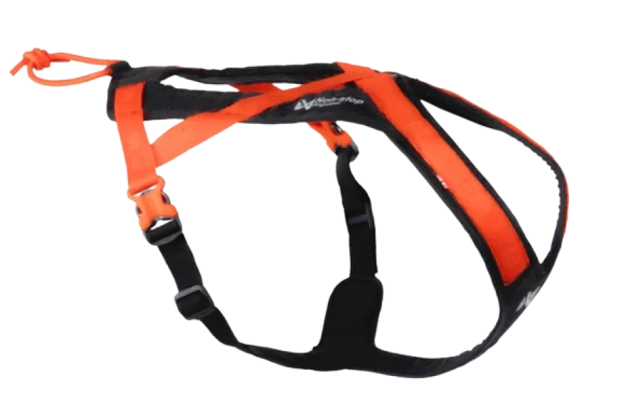 Rush harness Nr 7 black/orange
